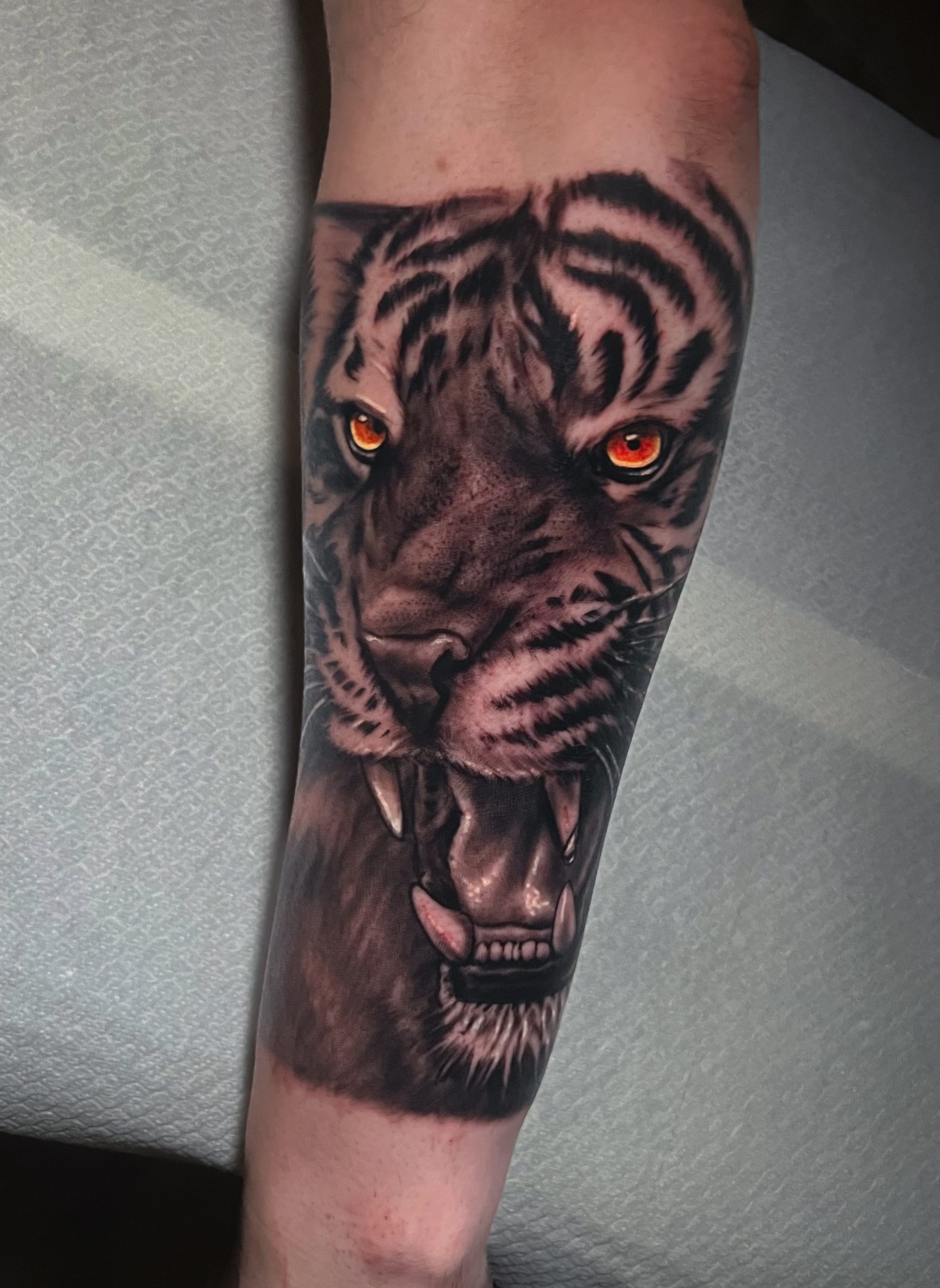 Animales